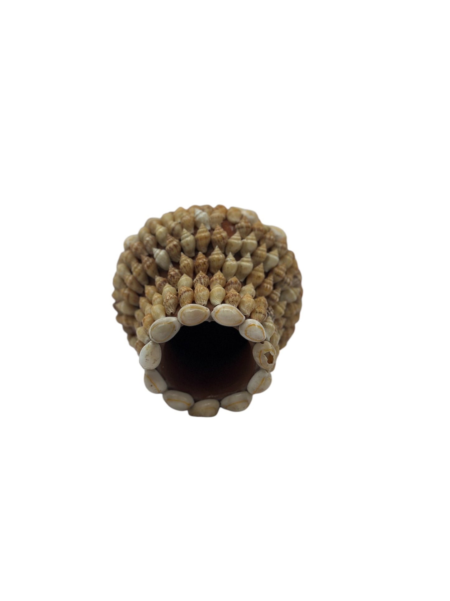Shell Vase