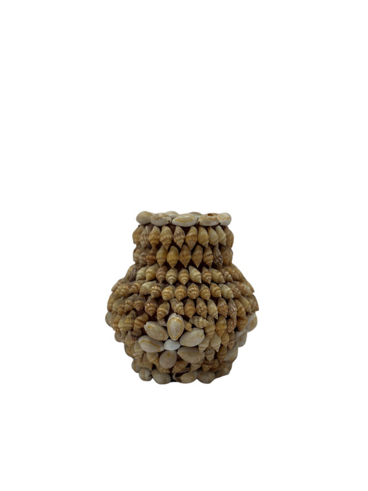 Shell Vase