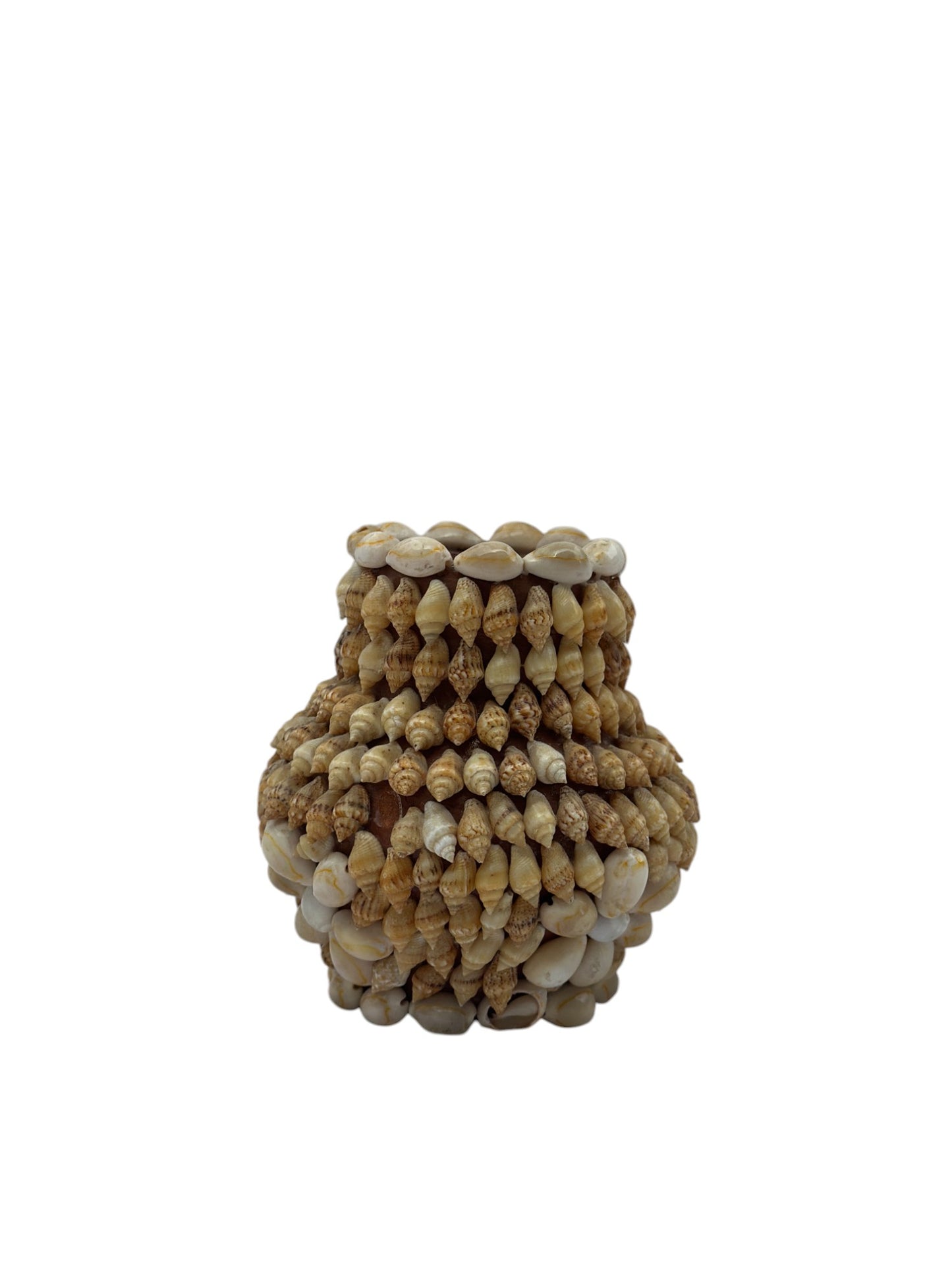 Shell Vase