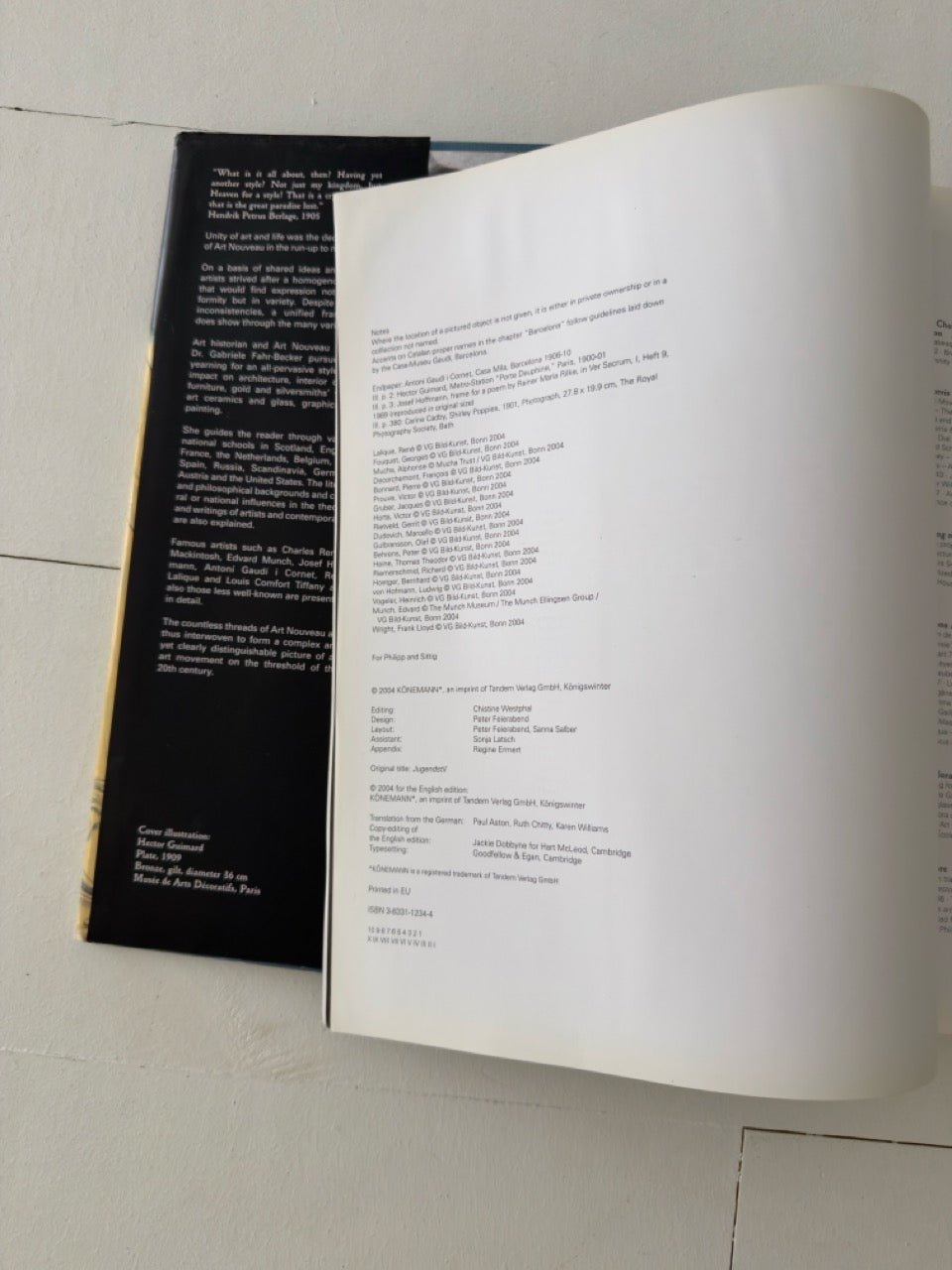 Art Noveau Coffee Table Book