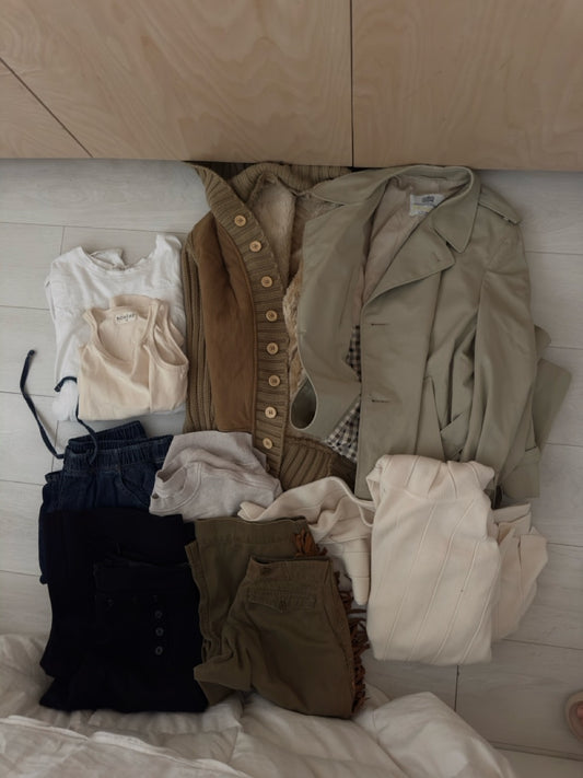 Clothing Lot