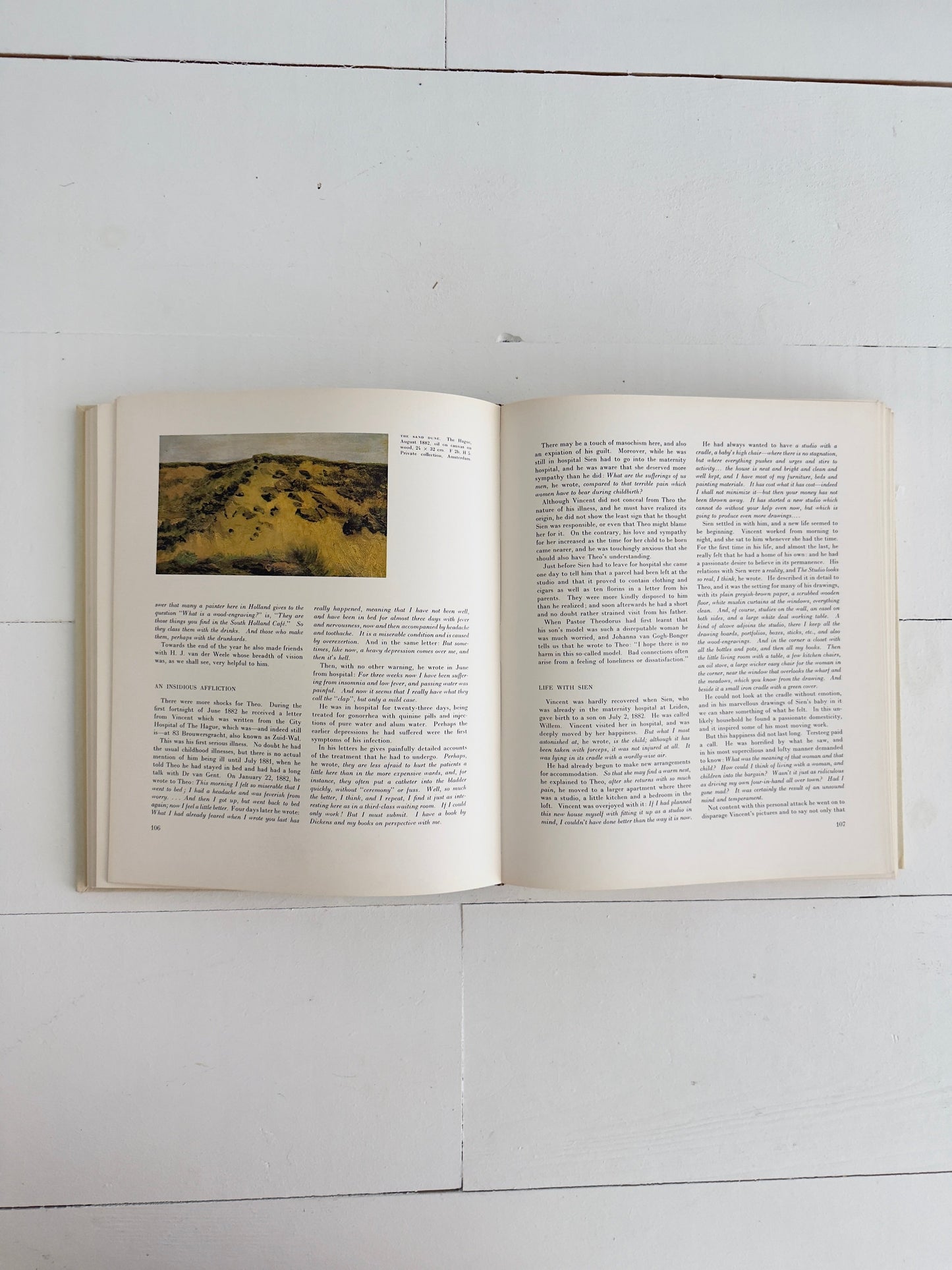 Van Gogh Hardcover